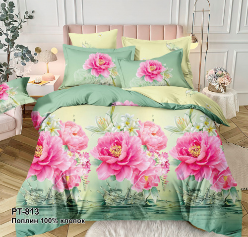 КПБ Поплин Арт. PT-813